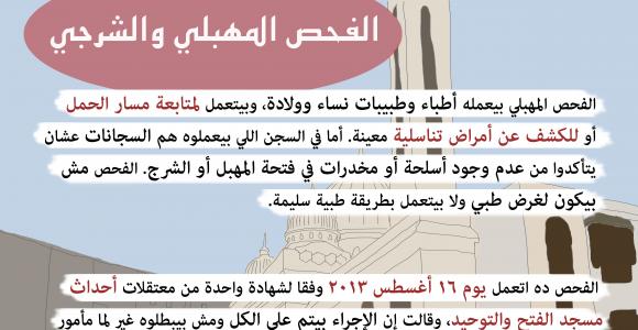 ورقة تعريفية: الممارسات المختلفة من العنف الجنسي ضد النساء 